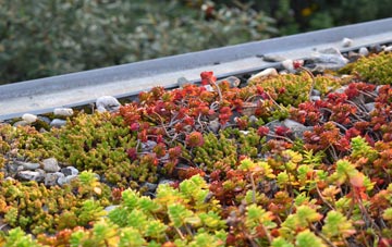 the cost of Booze green roof installation
