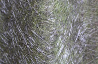 Booze fibreglass roof work